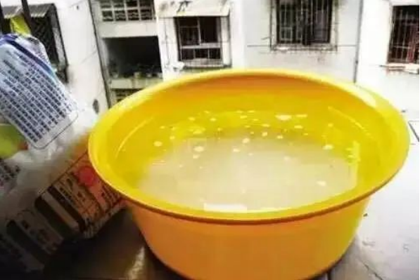 1748266629117021.png image.png